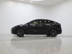 Tesla Model Y Long Range Rear-Wheel Drive - ფოტო 9