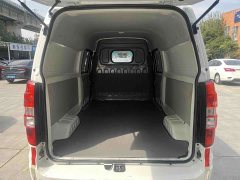 New Haima Lion EV Wealth Creation Edition - photo 13