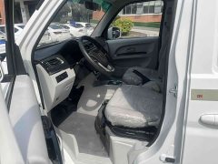 New Haima Lion EV Wealth Creation Edition - photo 17
