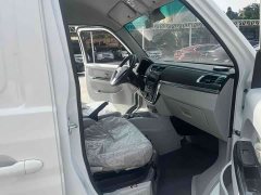 New Haima Lion EV Wealth Creation Edition - photo 19