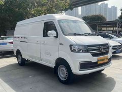New Haima Lion EV Wealth Creation Edition - photo 3