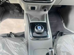New Haima Lion EV Wealth Creation Edition - photo 5