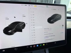Tesla Model 3 Facelift Performance All-Wheel Drive 3D1 - ფოტო 5