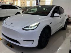 Tesla Model Y Long Range All-Wheel Drive - ფოტო 1