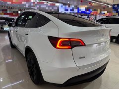 Tesla Model Y Long Range All-Wheel Drive - ფოტო 7