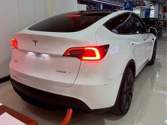 Tesla Model Y Long Range All-Wheel Drive - ფოტო 8