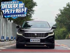 Volkswagen Passat 330TSI Elite - ფოტო 2