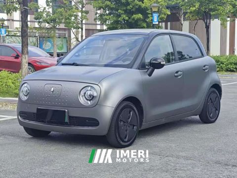 2021 ORA Black Cat 2022 301km Cute Pet Edition LFP Battery - ავტომობილი ჩინეთიდან