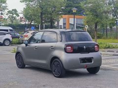 ORA Black Cat 2022 301km Cute Pet Edition LFP Battery - ფოტო 16