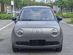 ORA Black Cat 2022 301km Cute Pet Edition LFP Battery - ფოტო 2