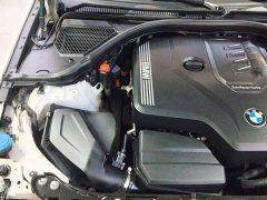 BMW 3 Series 320Li M Sport Package - ფოტო 20