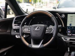 Lexus RX New Energy 450h AWD Comfort Edition - ფოტო 15