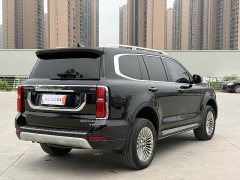 Tank 500 3.0T Business Edition Landscape Trim 5-Seater - ფოტო 6