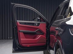 Porsche 2022 Cayenne 3.0T Platinum Edition - ფოტო 16