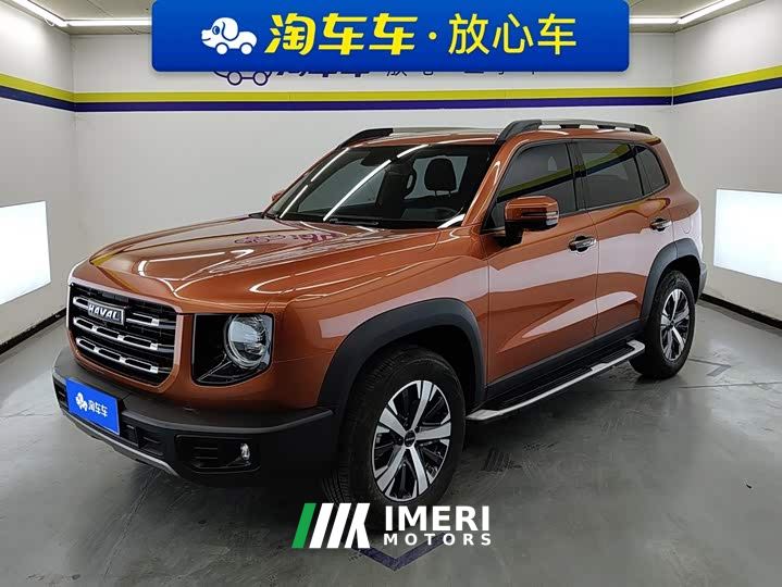 Great Wall Dachshund 1.5T DCT Two-Wheel Drive Labrador Edition