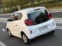 SAIC Corey Wei CLEVER 302km All-Purpose Edition - ფოტო 4