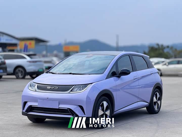 BYD Dolphin 420km Fashion Edition - ავტომობილი ჩინეთიდან
