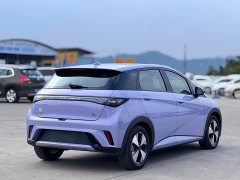 BYD Dolphin 420km Fashion Edition - ფოტო 14