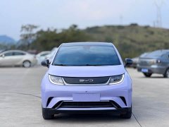 BYD Dolphin 420km Fashion Edition - ფოტო 2