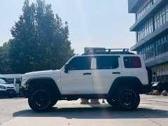 Tank 300 2021 Off-Road Edition 2.0T Conqueror - ფოტო 4