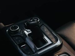 Tank 300 2021 Off-Road Edition 2.0T Conqueror - ფოტო 9