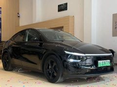 Tesla Model Y Rear-Wheel Drive - ფოტო 3