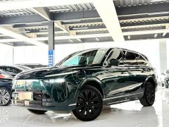 Great Wall WEY Blue Mountain Four-Wheel Drive Extended Range Version - ფოტო 1