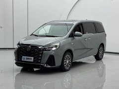 Buick GL8 Land Executive Cabin 652T Luxury - ფოტო 1