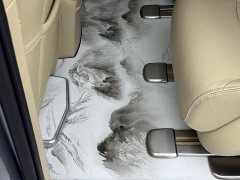 Buick GL8 Land Executive Cabin 652T Luxury - ფოტო 11