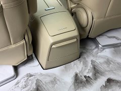 Buick GL8 Land Executive Cabin 652T Luxury - ფოტო 14