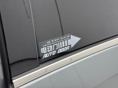 Buick GL8 Land Executive Cabin 652T Luxury - ფოტო 8