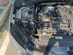 Volkswagen Sagitar 300TSI DSG Excellence Edition - ფოტო 20