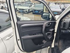 Great Wall Dachshund 2022 2.0T DCT Four-Wheel Drive Chinese Rural Dog Edition - ფოტო 13