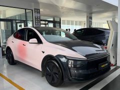 Tesla Model Y Rear-Wheel Drive - ფოტო 2
