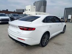 Geely Xingrui 2.0T Diesel Premium Edition - ფოტო 9