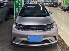 BYD Dolphin 401km Knight Edition - ფოტო 1