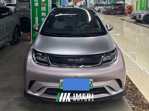 2022 BYD Dolphin 401km Knight Edition