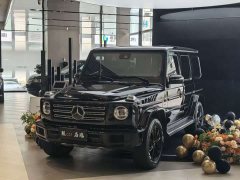 Mercedes-Benz G-Class G 500 - ფოტო 14