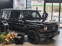 Mercedes-Benz G-Class G 500 - ფოტო 15