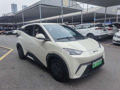 BYD Seagull 2025 305km Vitality Edition - ფოტო 3