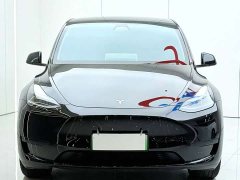 Tesla Model Y 2023 Rear-Wheel Drive - ფოტო 1