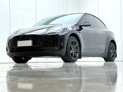 Tesla Model Y 2023 Rear-Wheel Drive - ფოტო 2