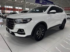 Haval H6 National Trend Edition 1.5T Automatic Urban Version - ფოტო 1