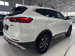 Haval H6 National Trend Edition 1.5T Automatic Urban Version - ფოტო 5