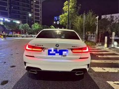 BMW 3 Series 320Li M Sport Package - ფოტო 9