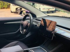 Tesla Model 3 Standard Range RWD Upgrade 3D6 - ფოტო 9