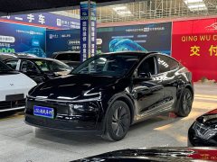 Tesla Model Y Long Range All-Wheel Drive - ფოტო 1