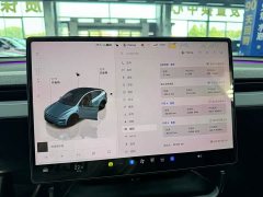 Tesla Model Y Long Range All-Wheel Drive - ფოტო 10