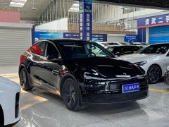 Tesla Model Y Long Range All-Wheel Drive - ფოტო 3