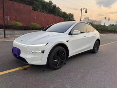 Tesla Model Y Rear-Wheel Drive - ფოტო 1